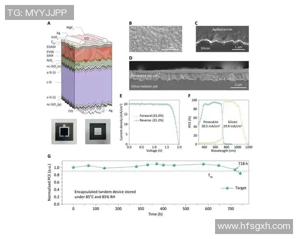 南京极限运动队的防反策略解析与热点趋势探讨